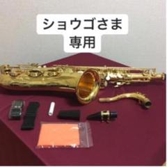 PLAYTECH PTTS300 テナーサックス