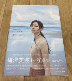 超希少】直筆サイン入りB2ポスター 梅澤美波1st写真集 夢の近く