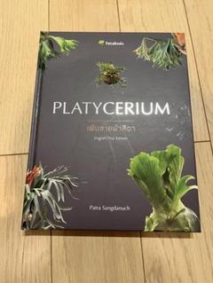 2025年最新】platycerium 本の人気アイテム - メルカリ