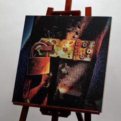 「幽閉」アート作品 写真 木製パネル貼り 530㎜×530㎜×20㎜ 幽閉」アート作品 写真 木製パネル貼り 530㎜×530㎜×20㎜ - メルカリ