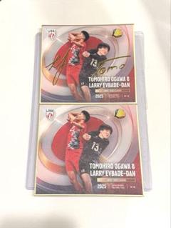 小川智大 応援Tシャツ バレーボール ネーションズリーグ 応援Tシャツ 小川智大 Lサイズ