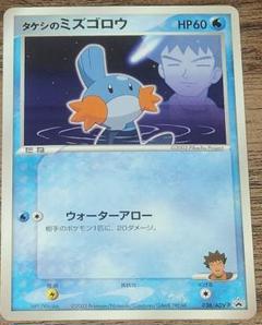 2025年最新】ミズゴロウ ポケモンカードの人気アイテム - メルカリ