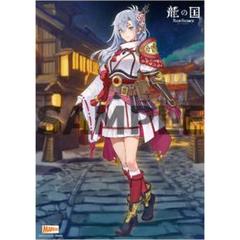 龍の国 ルーンファクトリー ソフマップ特典 オリジナルB2タペストリー