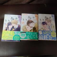 主人恋日記 9.10.11巻