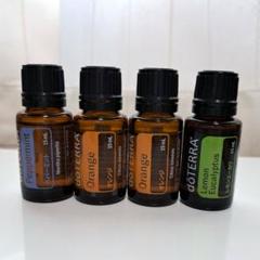 定率割引 西日本 2025年最新】doTERRA メルカリ - 15の人気アイテム ペパーミント エッセンシャルオイル