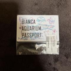アクアリウムは踊らない　ビアンカ水族館　年間パスポート