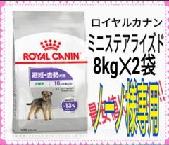 ノーノ様専用 ロイヤルカナン ミニステアライズド 8kg✕2袋