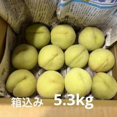 ⑯若桃 箱込み 5.3kg - メルカリ