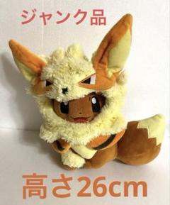 ポケモンセンター ウインディポンチョのイーブイ 沖縄