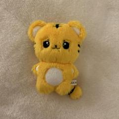 TWICE チェヨン ぬいぐるみ マスター TWICE チェヨン ぬいぐるみ マスター｜Yahoo!フリマ（旧PayPay