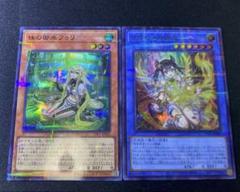 な*ー様 遊戯王　珠の御巫 フウリ 絵違い ウルトラパラレルレア 新]珠の御巫フゥリ(座り)【ウルトラパラレル】{TTP1-JP062