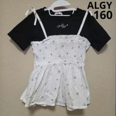 【M160】ALGY / アルジー / シェル柄ドッキングTシャツ