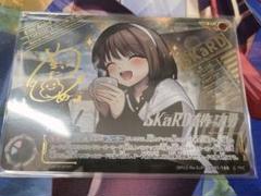 SKaRDを作った男　EXP