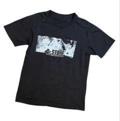 Dr.stone ドクターストーン　ジャンプ　アニメ　Tシャツ　サイズF