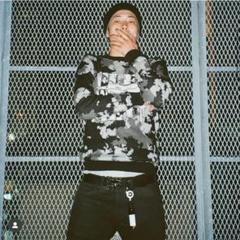 Flexwitmeベルト