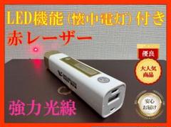 【外観　訳あり】USB充電式　赤レーザーポインター＆LEDライト　充電コードつき