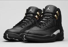 NIKE AIR JORDAN12 RETRO THE MASTER