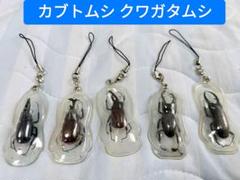 カブトムシ クワガタムシ キーホルダー ５体セット