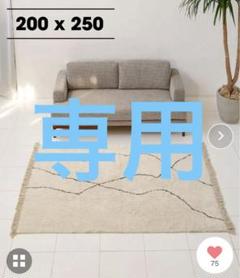 JOURNAL STANDARD FURNITURE SAFIRUG ベニワレン 0365157390001697693204_m.jpg