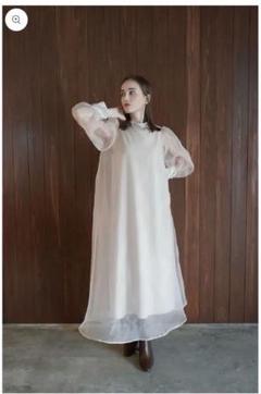 Acka. sheer over one-piece シアーオーバーワンピース