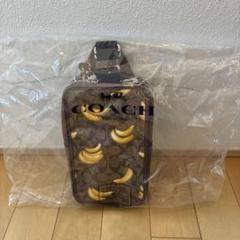 COACH 斜め掛け&ボディバッグ　バナナ柄