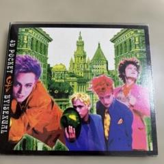 BY-SEXUAL 1990年 1991年 ツアーパンフ 4冊 BY-SEXUAL 1990年 1991年 ツアーパンフ 4冊 - ミュージシャン