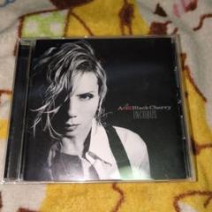 Acid Black Cherry キューピー インキュバス君 フォトブック Acid Black Cherry キューピー インキュバス君 フォトブック