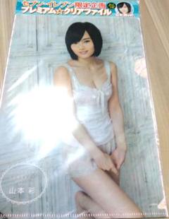 NMB48 山本彩 グラビア クリアファイル アイドル グッズ 非売品