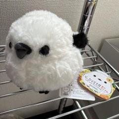 【ラクマ最安】ぬいぐるみ ふくふくシマエナ 夏のおとずれ LMCサイズ ラクマ最安】ぬいぐるみ ふくふくシマエナ 夏のおとずれ LMC