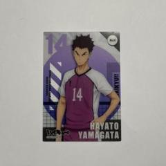 新品 非売品ハイキュー!!宮城フェス in J-WORLD 2018 山形隼人 2025年最新】山形隼人の人気アイテム - メルカリ
