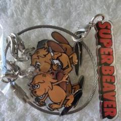 【値下げ⭕️】SUPERBEAVER キーホルダー SUPERBEAVER アクリルミニキーホルダー｜Yahoo!フリマ（旧PayPay