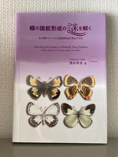 蝶の斑紋形成の謎を解く Vol.1 & Vol.2