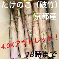 【18時まで】たけのこ タケノコ 破竹 4K アウトレット 京都 山城産 2