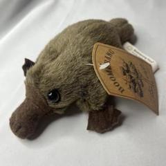 カモノハシ　ぬいぐるみ　オーストラリア　ブーメラントイズ