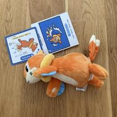マスコット OTENKI TEAM すいすい ブイゼル ポケモンセンター