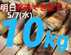 2025年最新】たけのこ 10キロの人気アイテム - メルカリ