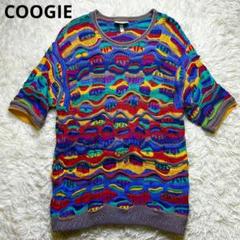 【希少】 COOGIE クージー 3D ニット セーター 半袖 マルチカラー 希少】 COOGIE クージー 3D ニット セーター 半袖 マルチカラー