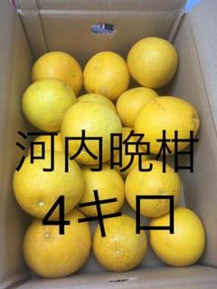 maronn様専用