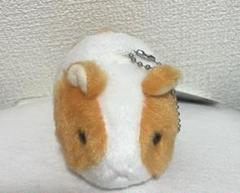 ちょこんと てのひらシリーズ モルモット