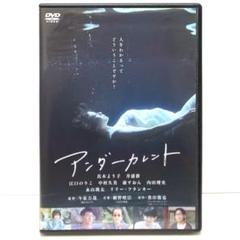 アンダーカレント DVD 今泉力哉 真木よう子 井浦新 江口のりこ