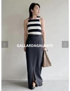 GALLARDAGALANTE アメリカンスリーブリブニット