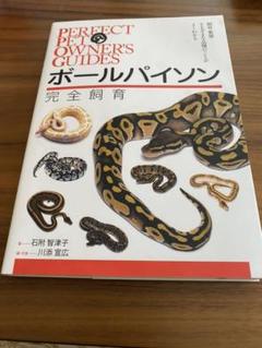 ボールパイソン 完全飼育 飼育 繁殖 さまざまな品種のことがよくわかる Perfect Pet Owner 039 S Guides 石附 智津子 の中古 未使用品を探そう メルカリ ボールパイソン 完全飼育 飼育 繁殖 さまざまな品種のことがよくわかる Perfect Pet Owner 039 S Guides 石附 智津子 の中古 未使用品を探そう メルカリ