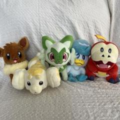 ポケモンセンター　ぬいぐるみ5種