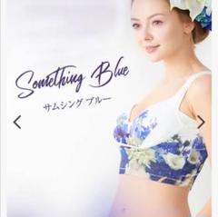 【新品未使用】 Lサイズ(ブルー) セレブラ