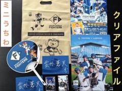 日ハム　ファイターズ　クリアファイル　フレップ　ポリー　ミニうちわ　コラボ商品