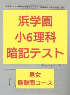 浜学園　6年　洛星中/男子最難関　国算理　日曜/確認/復習/実力テ/直前/社会 2025年最新】浜学園 最難関の人気アイテム - メルカリ