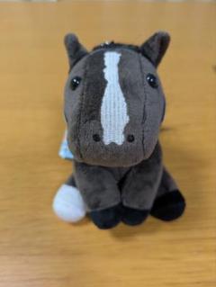 イクイノックス　アイドルホース　JRAカード入会特典 イクイノックス JRAカード入会特典 非売品 アイドルホース