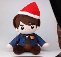 赤楚衛二 ぬいぐるみ 12cm 中国 Amazon.co.jp: 赤楚衛二 中国限定 bilibili ぬいぐるみ : おもちゃ