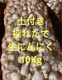 令和7年　青森県　生にんにく10Kg 大.特大　ラスト！ 令和7年 青森県 生にんにく10Kg 大.特大 ラスト！ - メルカリ