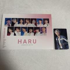 SEVENTEEN - SEVENTEEN HARU DVD トレカあり -japanese-edition-seventeen-